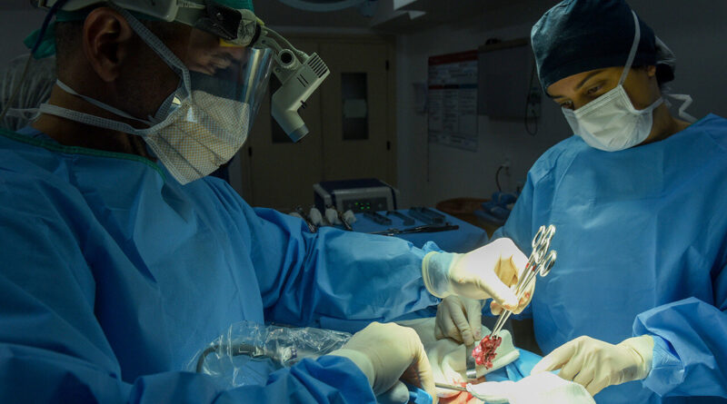 with 216598 Easy Resize.com