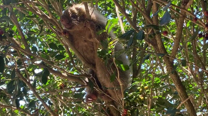 f45d655575e97f094813cafeb5b8ded9 XL Easy Resize.com