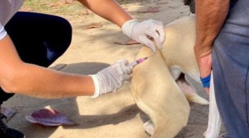 14344 0de386454d4405f79f50ab348c247e53