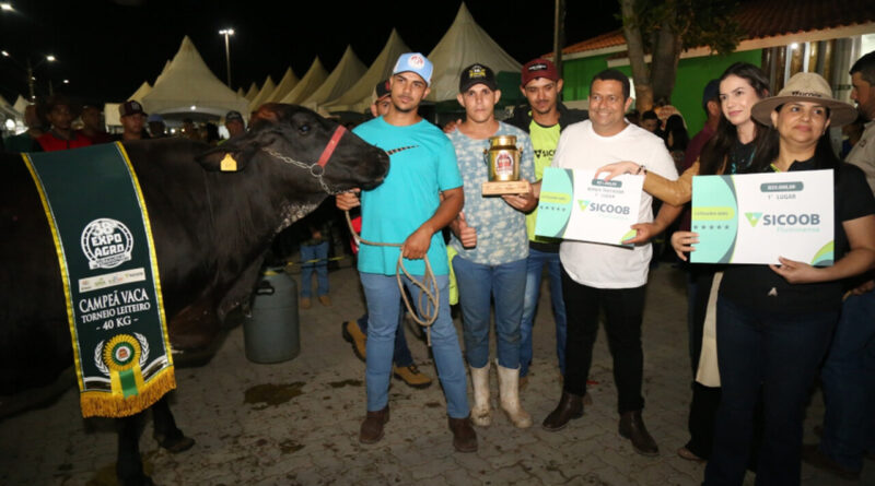 26592557cec344d5b5b242a1353cc260 XL Easy Resize.com