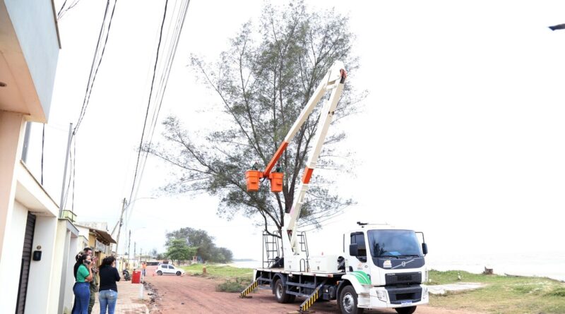 Retirada de casuarinas ASCOM SFI Wagner Fraga 4 Easy Resize.com