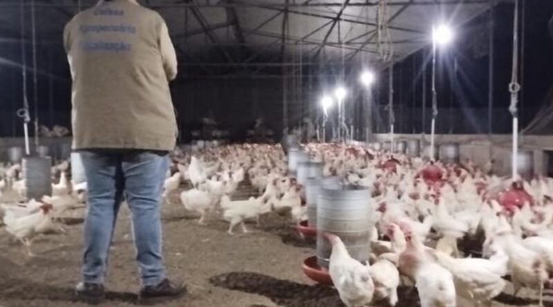 SDA 3 Easy Resize.com