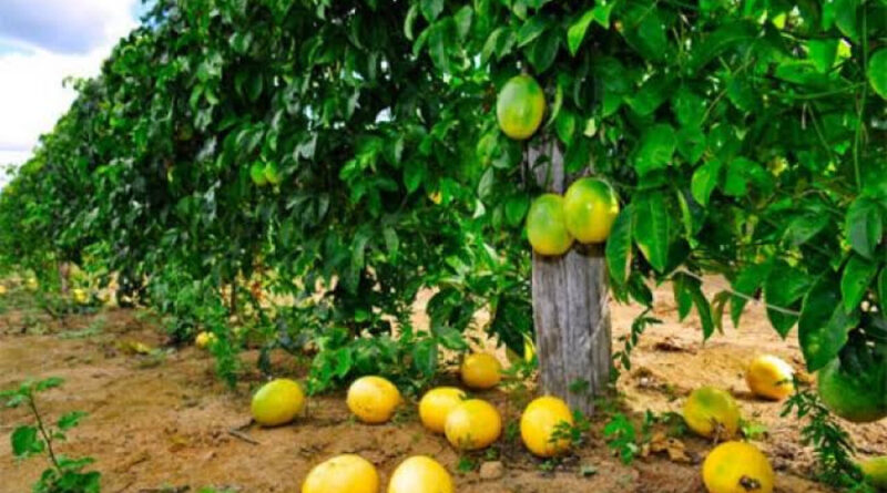 d7f952e4236afc03a202fc64913dc353 XL Easy Resize.com