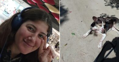 Argentina é morta a facadas em trilha de praia em Búzios; cachorro reagiu ao ver suspeito, que foi preso