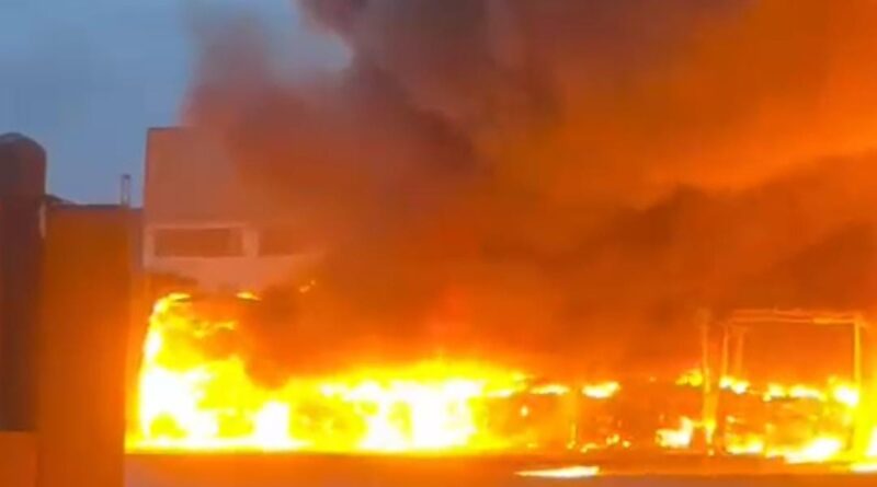 sao salvador Easy Resize.com