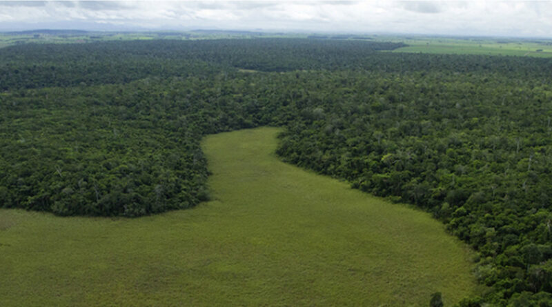 7124924f961cf64ed9d4240912ace279 XL Easy Resize.com