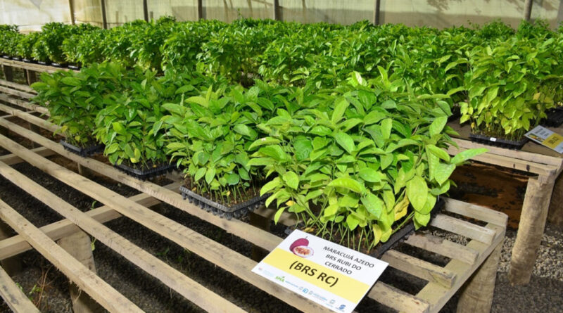 91e55df919b08f537b1e486fe1bab4ac XL Easy Resize.com