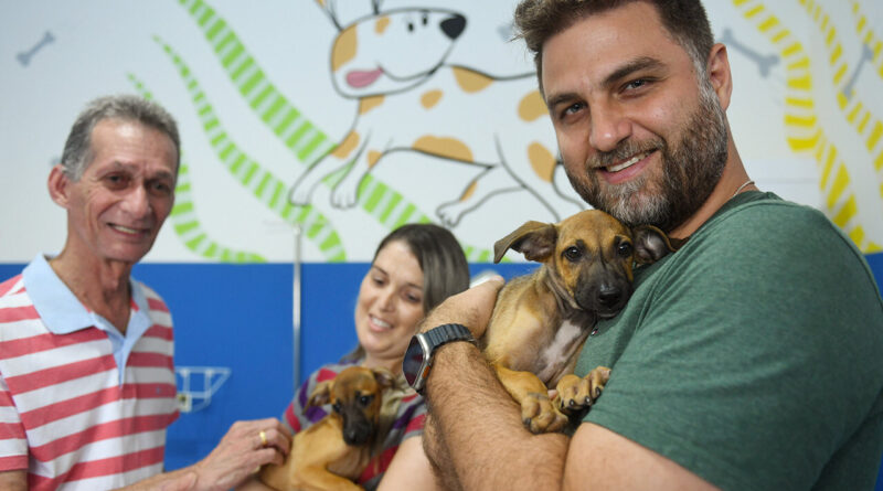 eecc8e839f7f4d78457bff59ba5bce97 Easy Resize.com