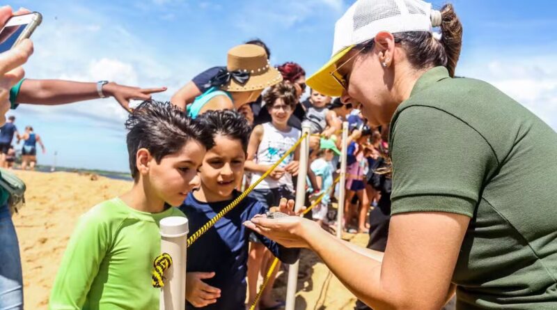 tartarugas 2 Easy Resize.com