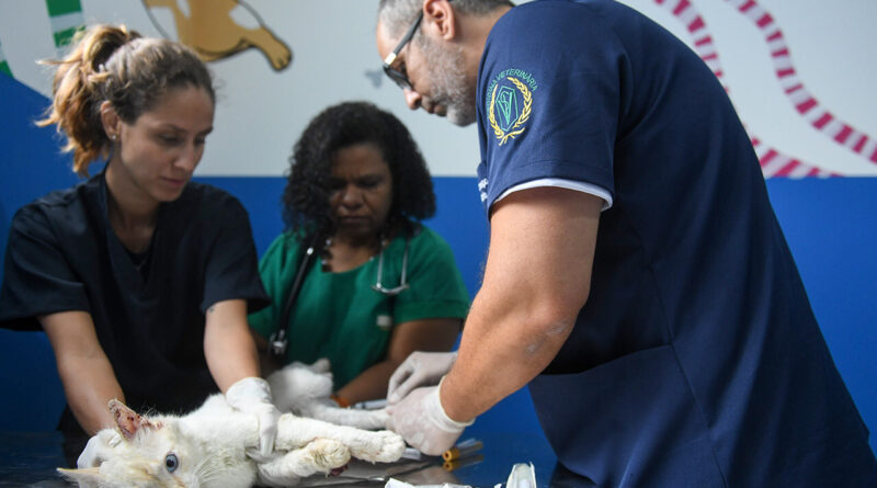 with 223842 Easy Resize.com