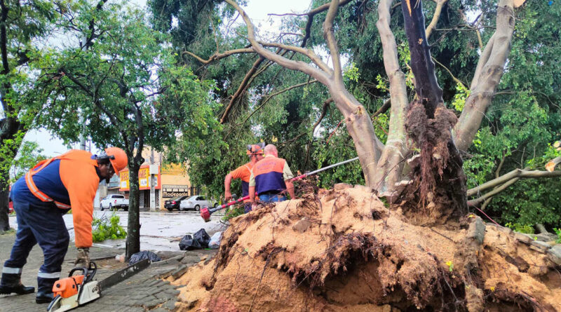 with 224082 Easy Resize.com