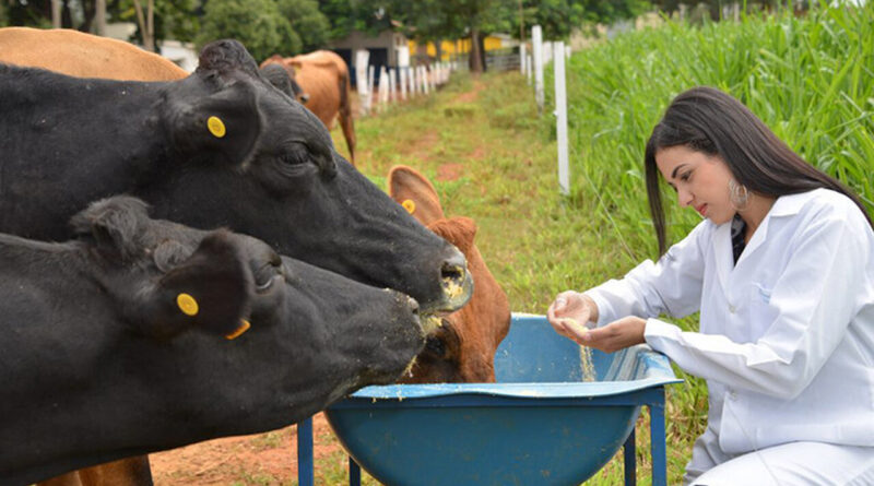 with 224322 Easy Resize.com