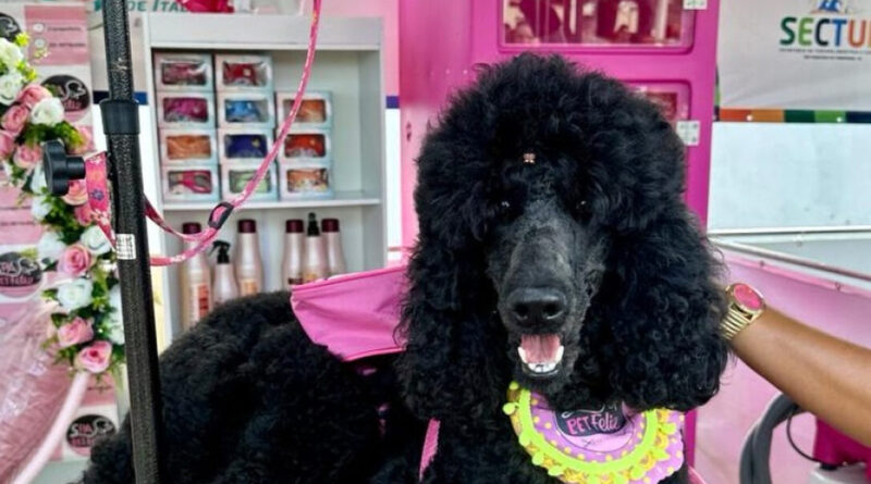 98a603e1940a8f9204f68a90703d47ea XL Easy Resize.com