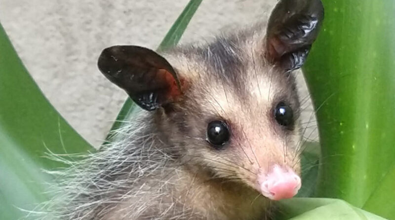 with 224985 Easy Resize.com