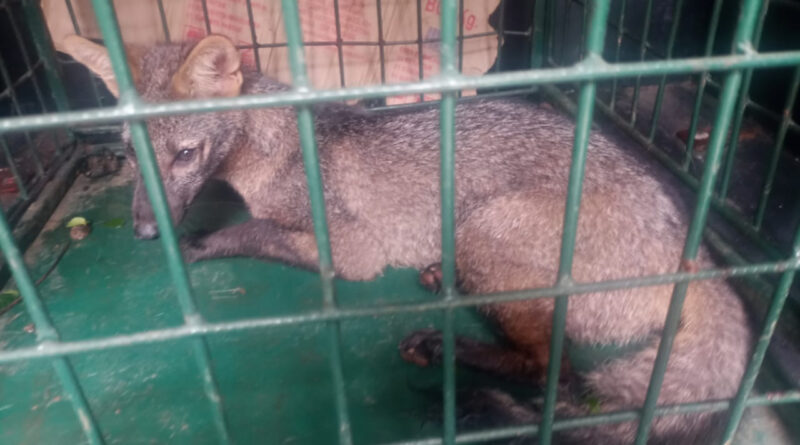 with 225528 Easy Resize.com