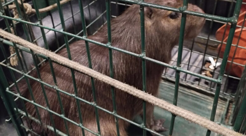 with 225598 Easy Resize.com