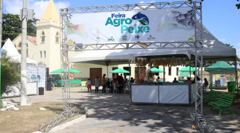 6b6ca302b7e42c97e4a4998035e30f25 XL Easy Resize.com