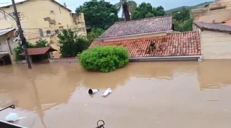 WhatsApp Image 2024 03 23 at 10.50.07 Easy Resize.com