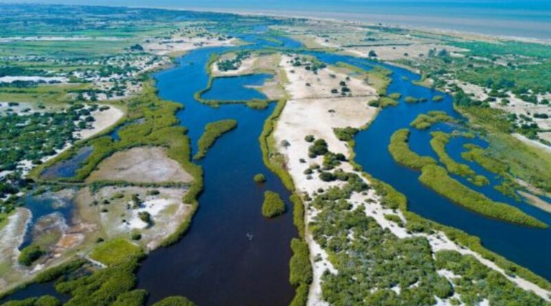 with 226081 Easy Resize.com