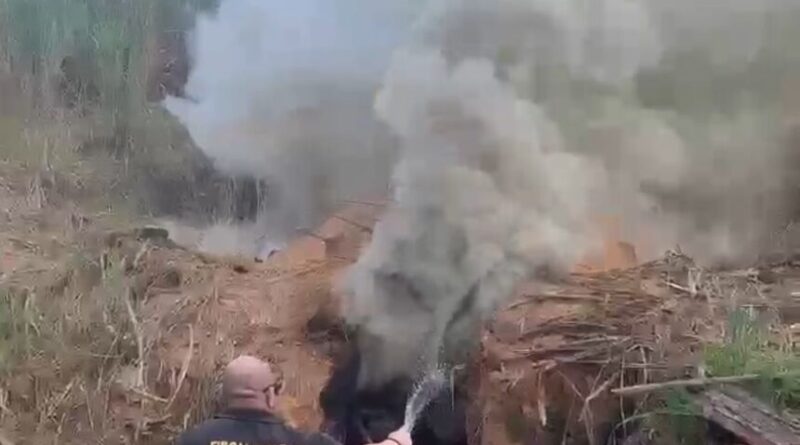 WhatsApp Image 2024 05 22 at 10.45.15 860x621 1