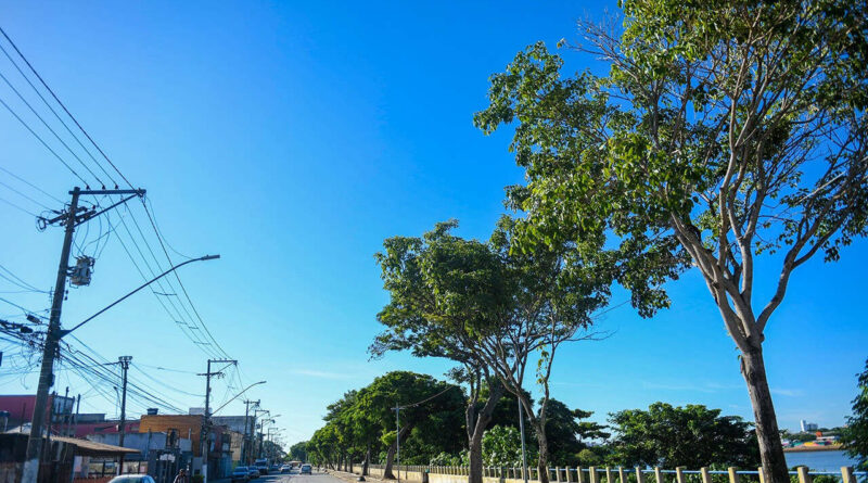 with 227452 Easy Resize.com