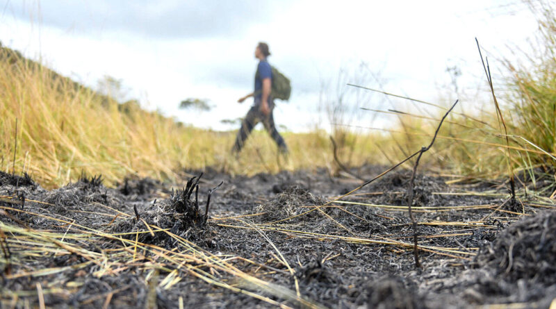 with 227608 Easy Resize.com