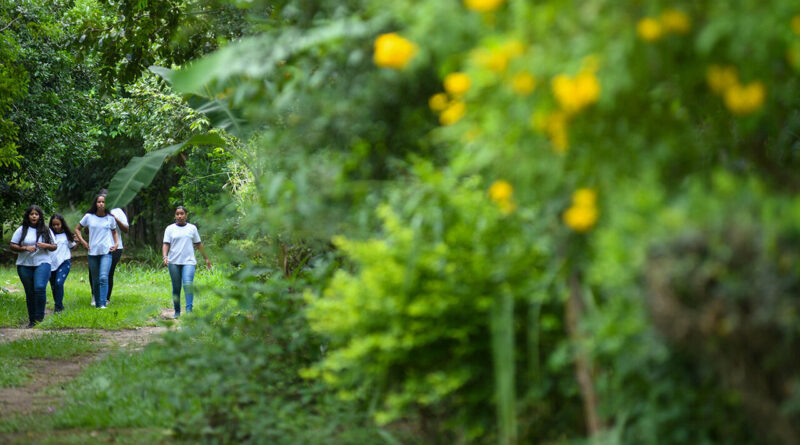 with 227635 Easy Resize.com