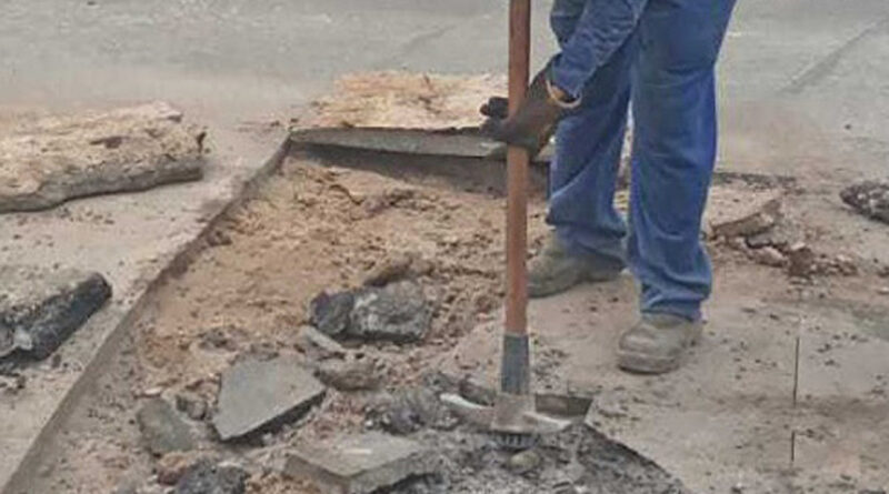 with 228028 Easy Resize.com