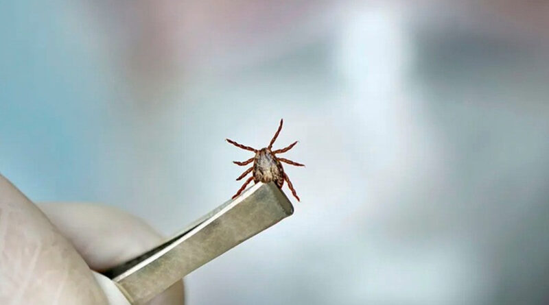 with 228788 Easy Resize.com