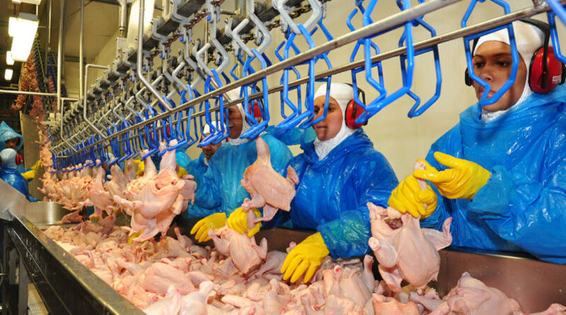 with 228939 Easy Resize.com