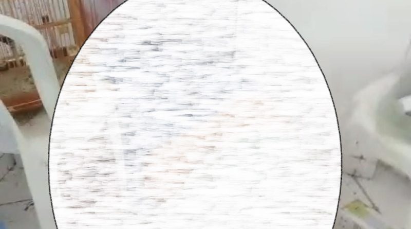 a77b7ffa 305a 4edd a131 9f9ea88a9e19 Easy Resize.com