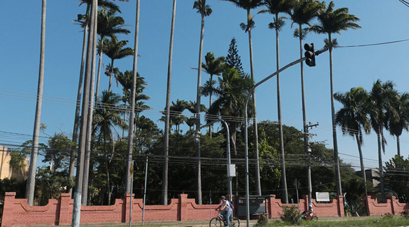 horto Easy Resize.com