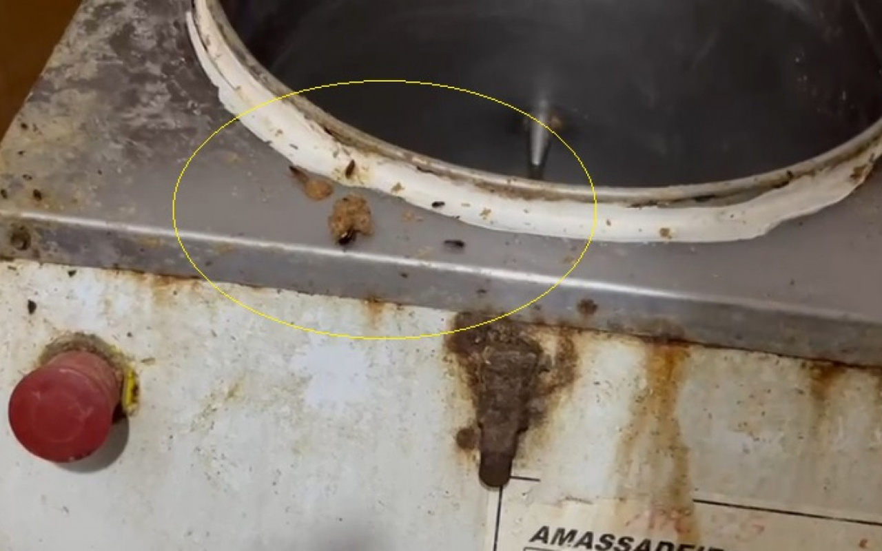 Fábrica clandestina de salgados árabes é fechada por causa de alimentos expostos à sujeira e baratas