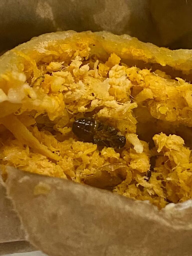 Lanchonete barata viva