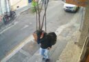 Dois assaltos são registrados na manhã desta sexta-feira, em Campos