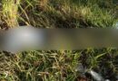 Homem é encontrado morto às margens da BR-101 em Travessão