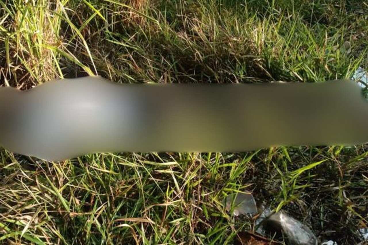 Homem é encontrado morto às margens da BR-101 em Travessão