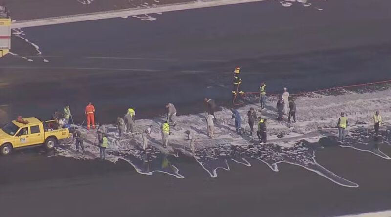 pista3 Easy Resize.com