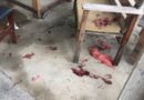 Bebê é atacado por pitbull na Baixada Campista e está em estado grave