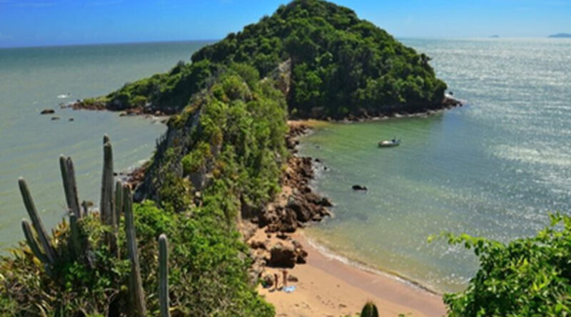 image preview Easy Resize.com 1