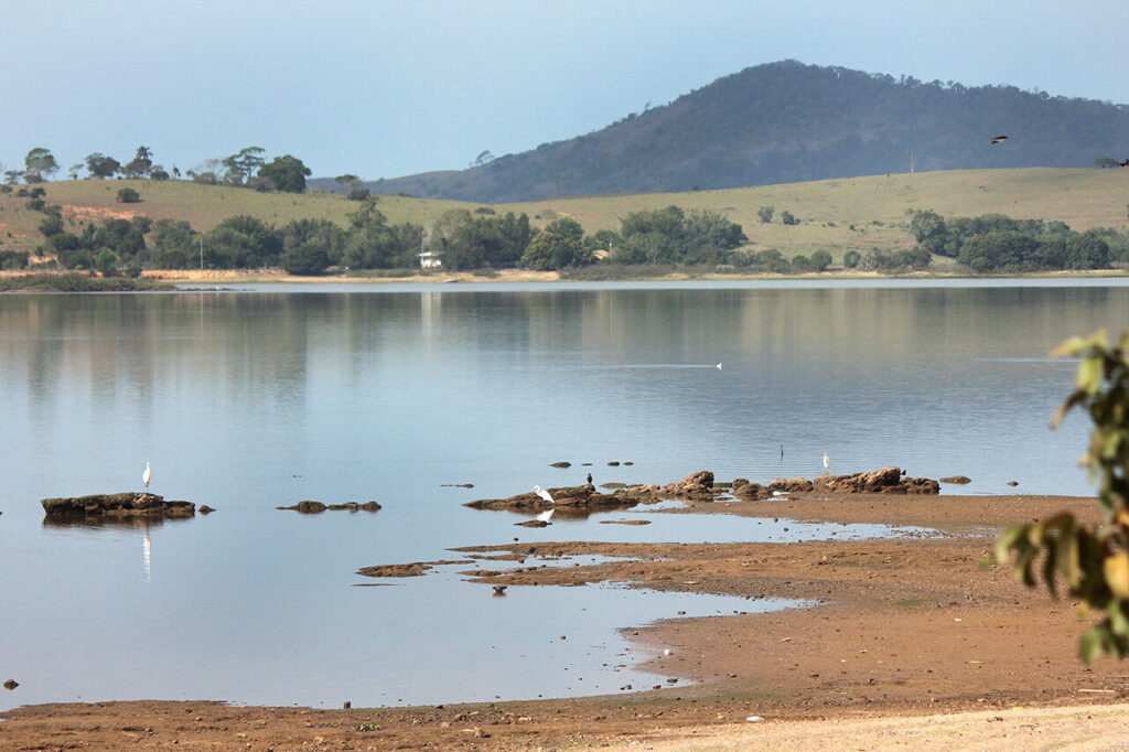 with 241524 Easy Resize.com