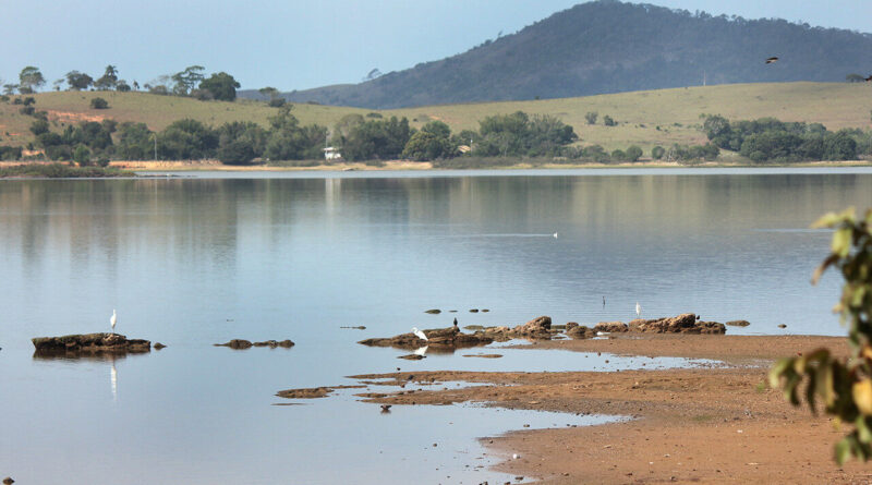 with 241524 Easy Resize.com