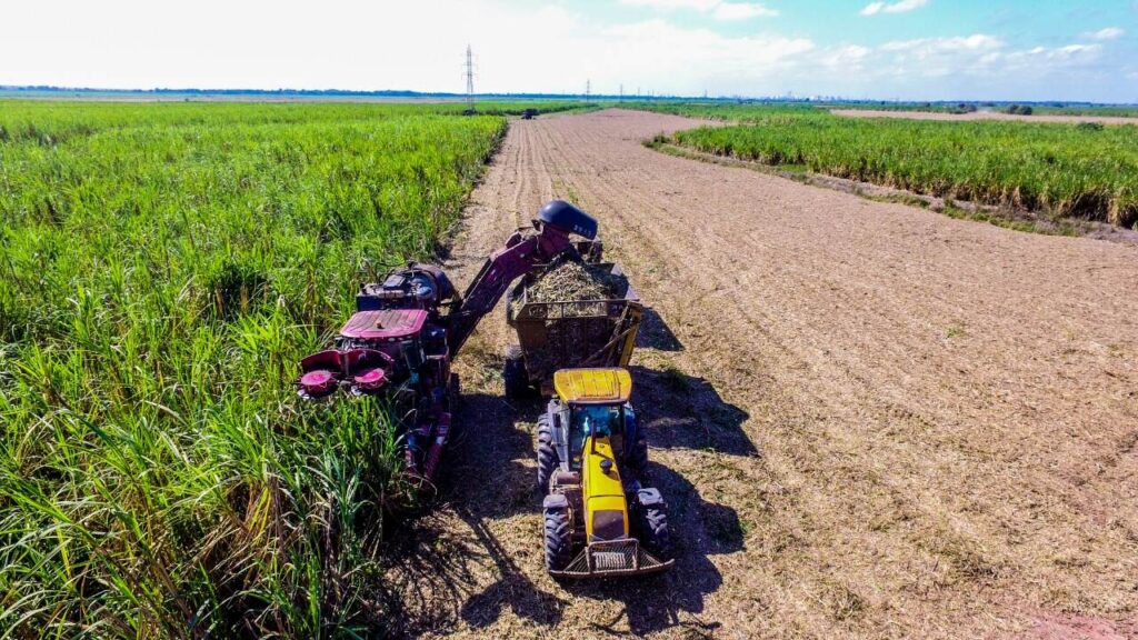 Após ano desafiador, COAGRO projeta retomada na produtividade industrial e agrícola em 2026 1 72514ac3 9d34 4c32 888f 2f1b0d15de5e Easy Resize.com