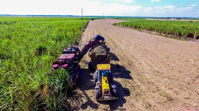 72514ac3 9d34 4c32 888f 2f1b0d15de5e Easy Resize.com