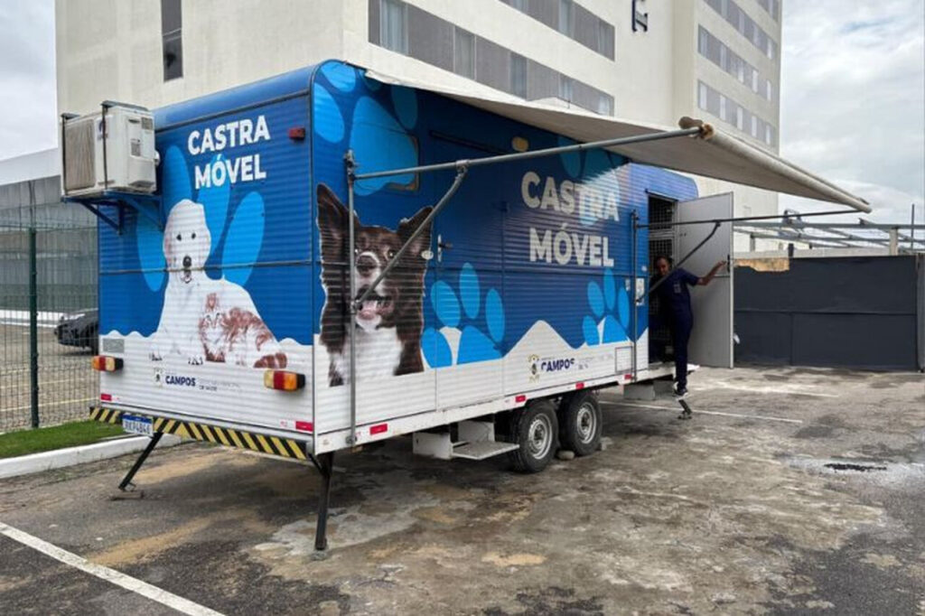 ccz Easy Resize.com 3