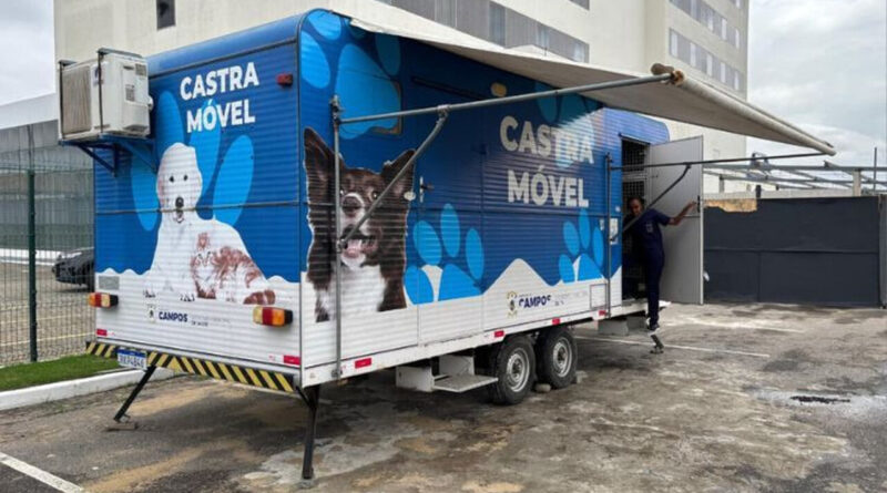 ccz Easy Resize.com 3