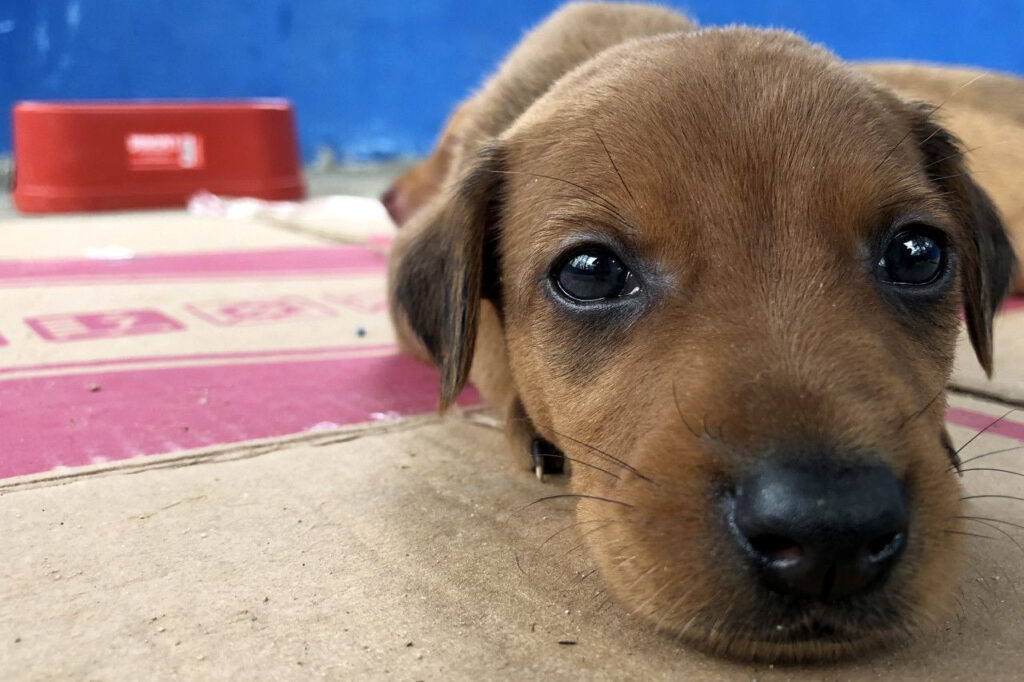 with 242222 Easy Resize.com