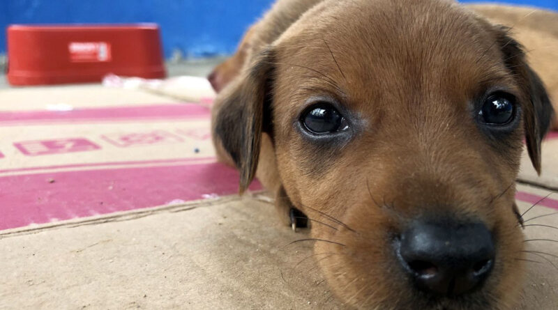 with 242222 Easy Resize.com