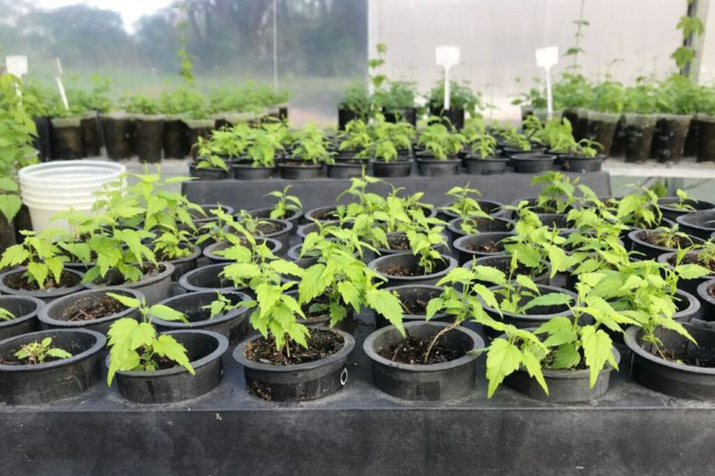 with 242386 Easy Resize.com