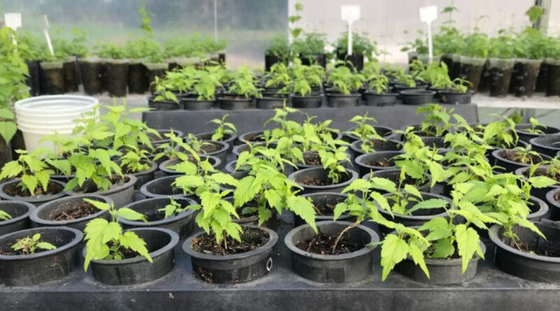 with 242386 Easy Resize.com